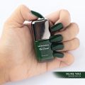 Nirvana Nail Polish for Women - Shade 34-Olive You. 