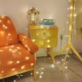 Decorative Fairy Lights - 30 Feet Golden. 
