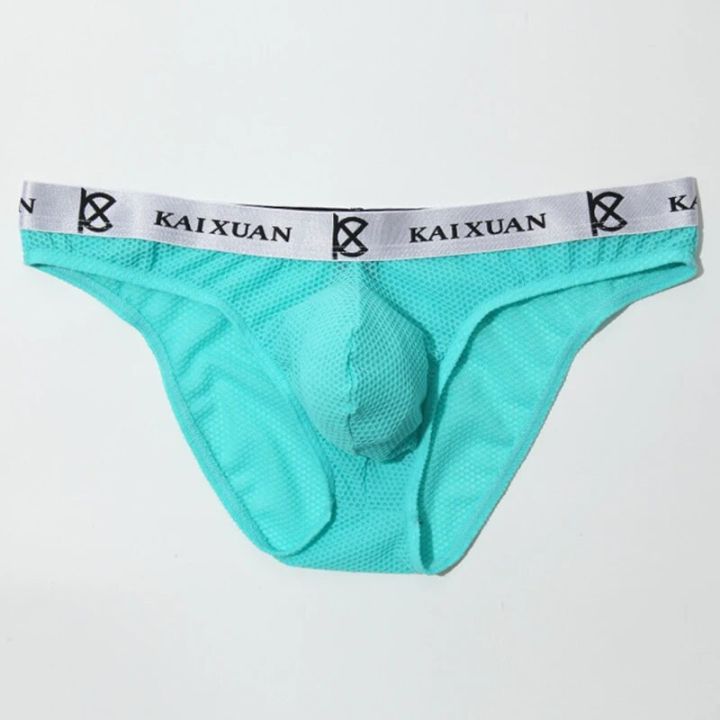 Mesh Briefs Men Underwear Nylon Solid Gay Men Underpants Cueca Male Panties Lingeries
