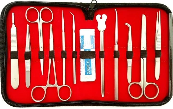 Dissection%20Biology%20Box%20for%20Medical%20Students%20Anatomy%20Laboratory%20Use%20-%20Image%203