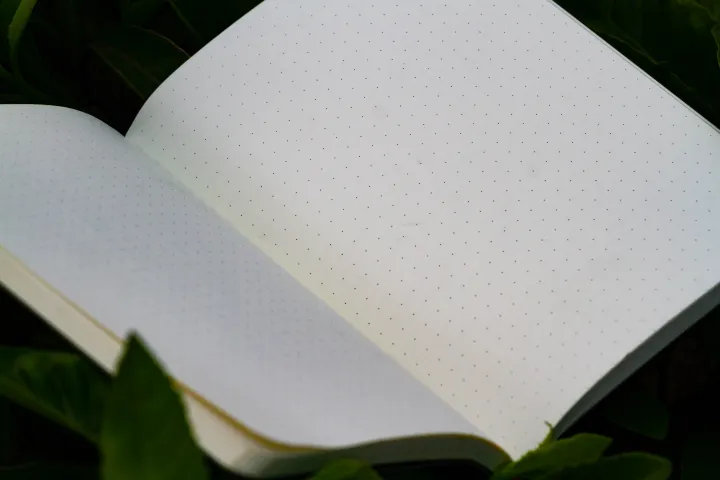 Daily%20Journal%20Black%20(Punch-Kraft)%20Dotted%20Grid%20Notebook%20with%20Elastic%20Band%20-%20Image%203