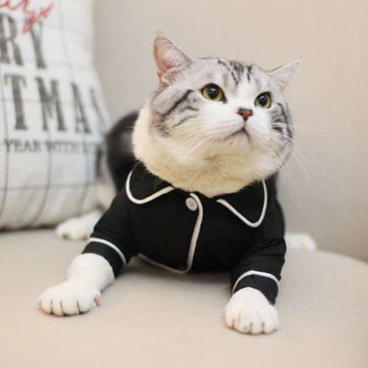 Soft Pet Cat Clothes Cotton Kitten Outfit Winter Clothing For Small Cats Costume Warm Cat Clothes Winter Pet Clothing