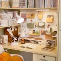 Hole Board Dormitory Wall Shelf Kawaii Free Punching Adhesive Students Study Wall Mounted Storage Rack Organizer Home Decoration.