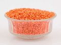 Red Lentils | Raw Lentils | Astho Red Lentils | Musor Dal | Moosur Dal - 2 Kg (Poly Bag). 