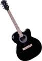 Signature Acoustic Guitar-Black | Best Price Combo Offer. 