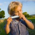 Swan 10 Hole 20 Tones Harmonica Key of C Blues,Mini Harmonica for Beginners. 