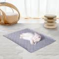 Pet Cooling Mat for Cats Dogs Outside Floor Car Crates Sleeping Bed Mattress 40cmx50cm. 