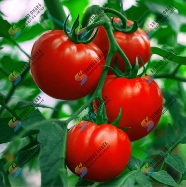 9.9%20Mega%20Sale%20Assorted%20Vegetable%20Seed%20Combo%20Pack%20for%20Gardening%20and%20Homegrown%20Herbs%20-%20Image%202