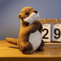 In Stock Hot Sale TikTok Xiaohongshu Same Style Blessing Wish Sea Otter Doll Cute Otter Plush Toy Gift. 