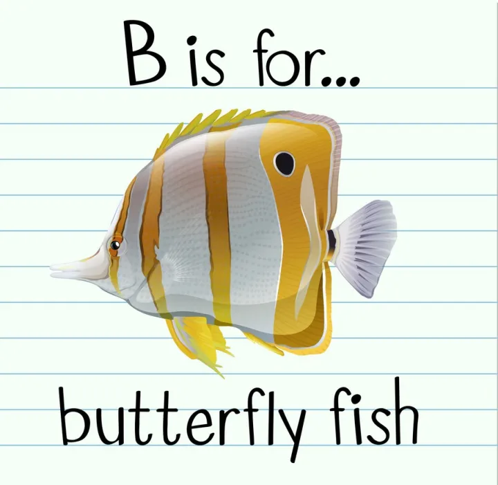 Fish%20Flash%20Card%20for%20Kids%20Early%20Learning%2024%20Cards%20-%20Image%202