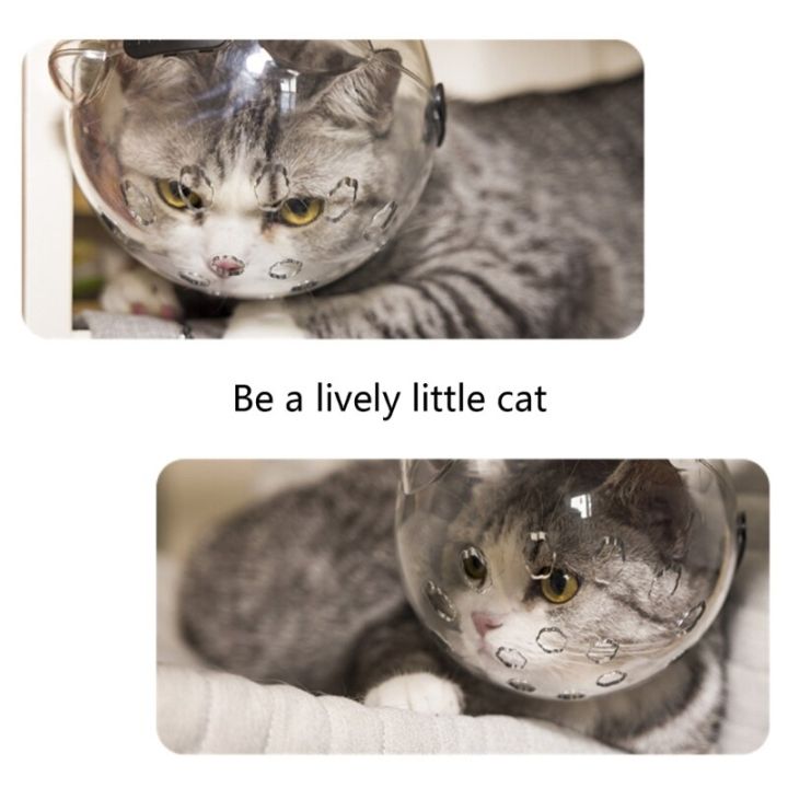 Muzzles%20Breathable%20Transparent%20Muzzle%20Grooming%20Mask%20Astronaut%20Helmet%20with%2036%20Vent%20Holes%20Anti-Bite%20for%20Nail%20Trimming%20-%20Image%206