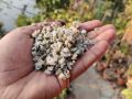 White Stone Chip (সাদা পাথর কুচি) - 200/500 Gram pack Mini White Stone Chip For Decoration of Aquarium and Making Adenium Cactus Media. 
