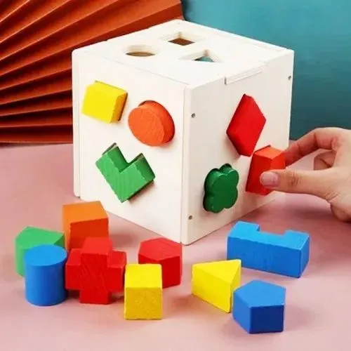 Multicolor Educational Fifteen Hole Intelligence Box