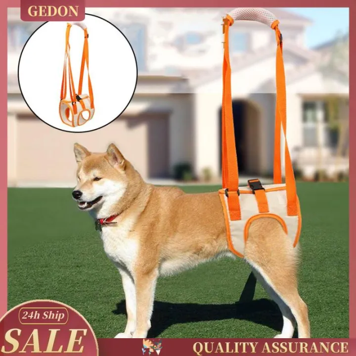 %5BGedon%5D%20Lift%20Hip%20Support%20Lifting%20Harness,Dog%20Pets%20Rear%20Weak%20Legs%20for%20Canine%20Senior%20Injured%20Disabled%20Joint%20Dogs%20-%20Image%207