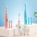 Electric Toothbrush for Men and Women Adult Non-Rechargeable Soft Fur Full-Automatic Waterproof Coupl lightweight easy to grips. 