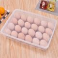 24 Grid Single-Layer Egg Box. 