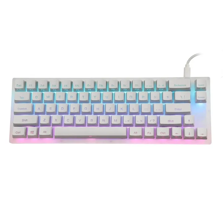 GamaKay K66 65% USB RGB Mechanical Keyboard 66 Keys Hot Swappable Translucent Glass Base Gateron Switch ABS Two-color Keycap