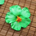 BIT.FLY 10PCS Hawaii party Hibiscus flowers Summer party DIY decorations Artificial PE hibiscus flower Hula girls headwear. 