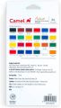 Camel Artist water color cake Pack of 24 Shade | Convenient pack to carry for outdoor work, contains 24 most required assorted shades. 
