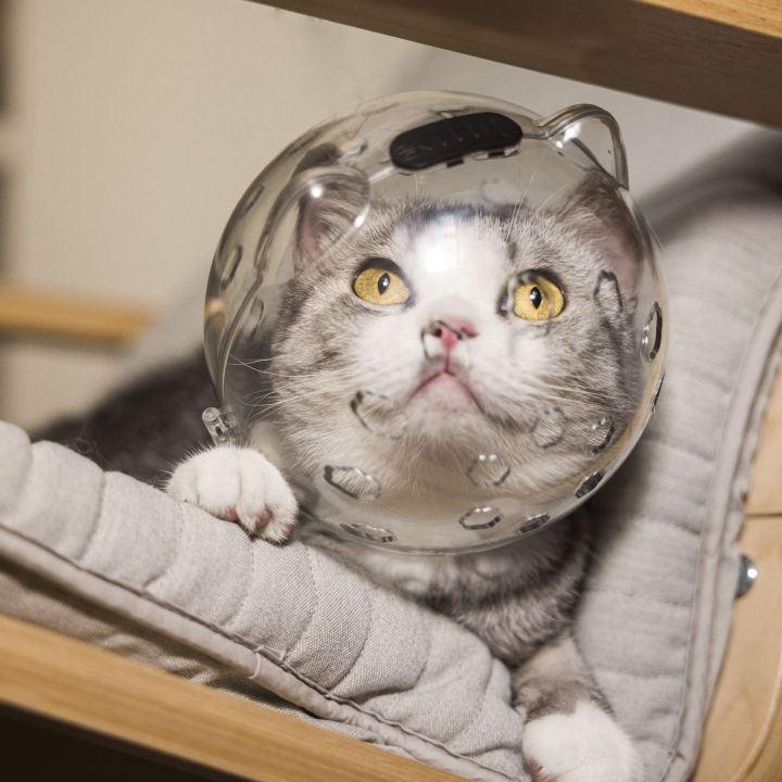 Cat%20space%20hood%20muzzle%20anti-bite%20collar%20anti%20licking%20cat%20protection%20hood%20breathable%20shame%20hood%20elizabeth%20ring%20-%20Image%204