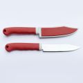 23cm Stainless Steel Fruit Knife with Protective Cover.