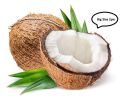 Coconut 2pcs, big Size Coconut. 