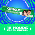 Closeup Toothpaste Menthol Fresh 38g.