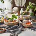 Glass Planter Plant Propagating Jar Desktop Planter for Home Indoor Garden Small. 