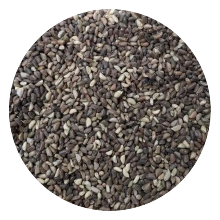 1%20kg%20Nepiar%20Grass%20Seeds%20Napier%20grass%20-%20Image%202
