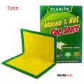 Mouse and Rat Glue Trap Pit_killer (1 Pcs).