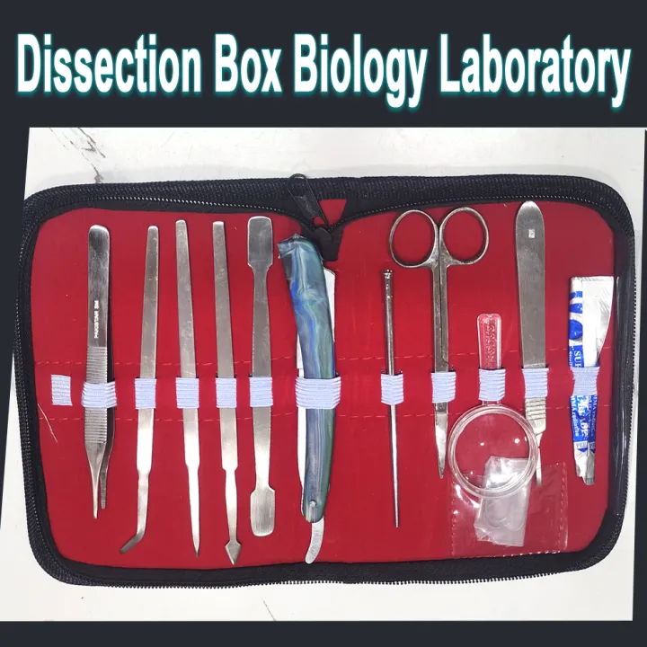 Dissection%20Box%20/Biology%20Laboratory%20for%20Medical%20Students%20Anatomy%20Laboratory%20Use%20-%20Image%203