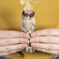 【Daily Necessities For Anyone Store】White Sage Sticks for Home sing Healing Meditation udging Rituals.