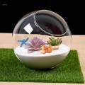 Terrarium Centerpiece Container for Home Decor Party Garden Diameter 15cm.