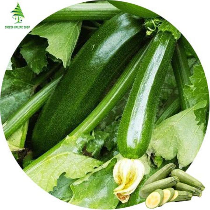 Zucchini Squash Seeds - 10 Pcs Seeds(Global Seeds)