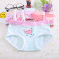 Girls' Underwear1-13Children's Pure Cotton Briefs Girls' Boxers Baby Girl Shorts Underwear Boxers. 