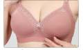 Large Size Bra/ Big Size Bra/ Bra for Fat Women - Bra - Bra.