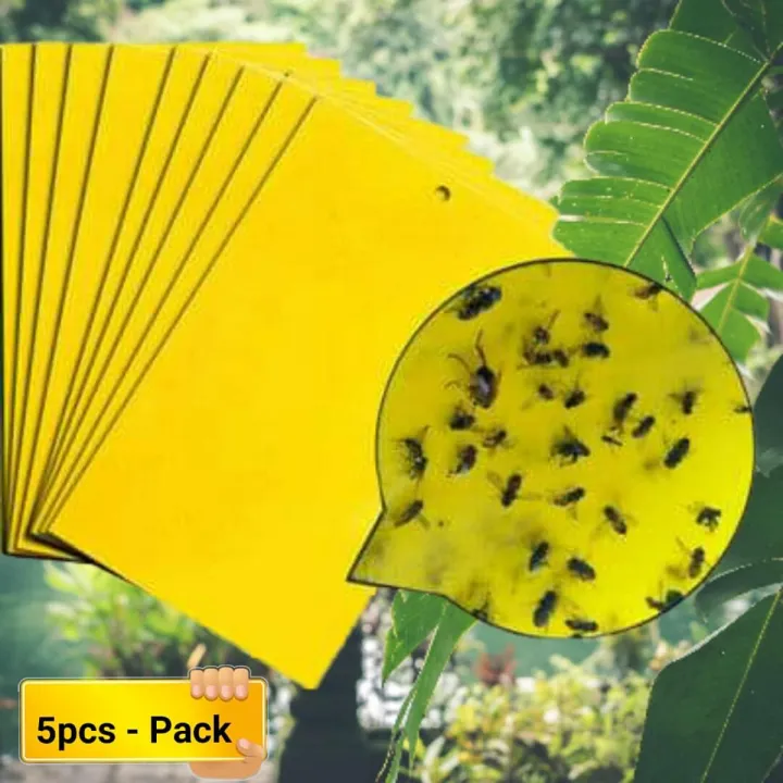 Yellow Insect Traps Yellow Sticky Traps for Flying Plant Insects (5 Pcs) | Daraz.com.bd