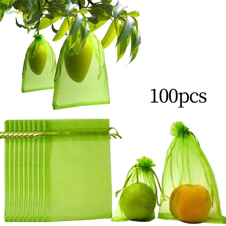 100%20Pieces%20Fruit%20Protection%20Bags%20Fruit%20Netting%20Cover%20Bags%20for%20Veggies%20Garden%2015cmx20cm%20-%20Image%204