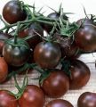 All Season Black Cherry Tomato Seeds - 20 Pcs SeedS.