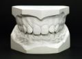 1Kg Dental Modeling Plaster Of Paris for Teeth model | Creative Design Make.