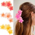 Fashion Gradient Color Egg Flower Hair Clip Simple Style Hair Accessories Shark Clip Transparent Headwear Flower Shape Claw Clip. 