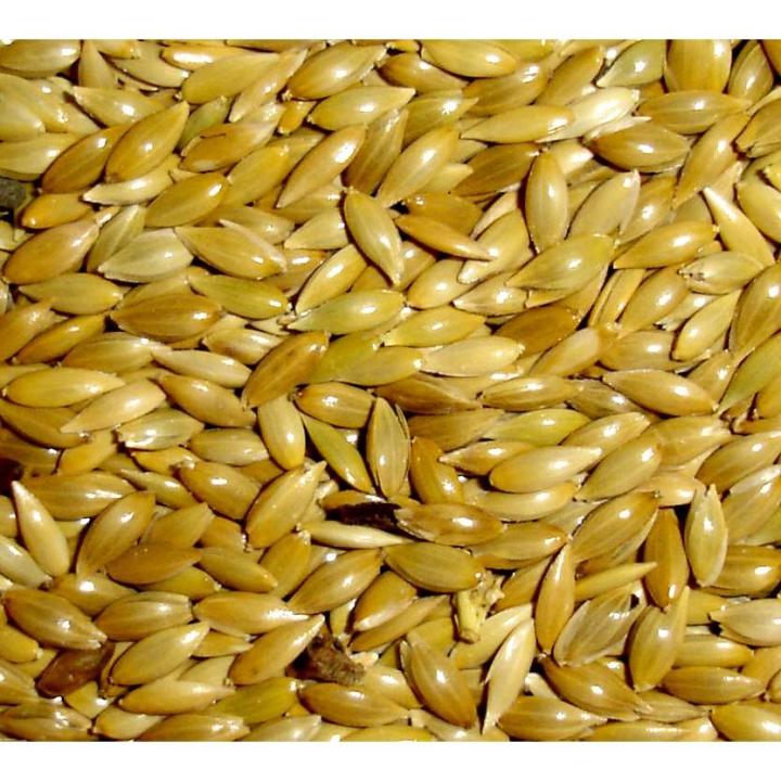 Birds%20Food%20Canary%20Seed%20Bird%20Food%20-%200.5KG%20(500Gm)%20-%20Image%203