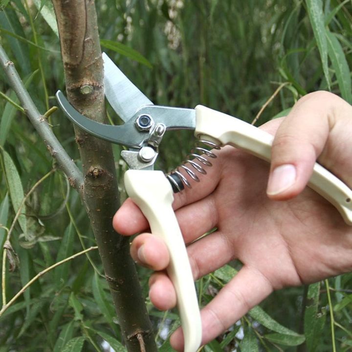 Pruner%20Made%20in%20china%20-%20Image%206