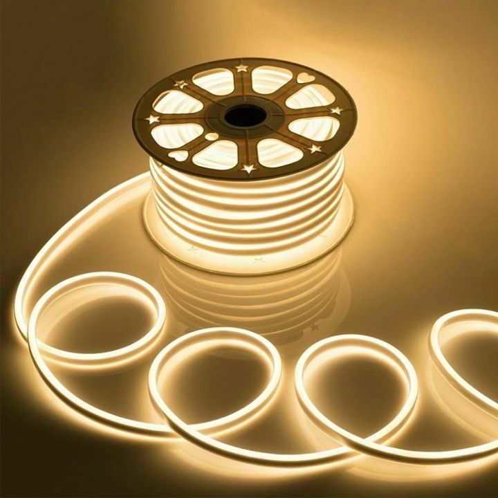 5M LED Flexible Silicone Neon Light Strip Set 5050 Low Voltage 12V 6*12 Shape Embedded Linear Flexible Light Strip Buy 1 Get 1 Free