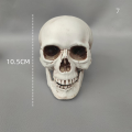 size Skull prop Spooky Resin material Lifelike Skeleton head decoration Detachable jaw Realistic looking skulls for Halloween. 