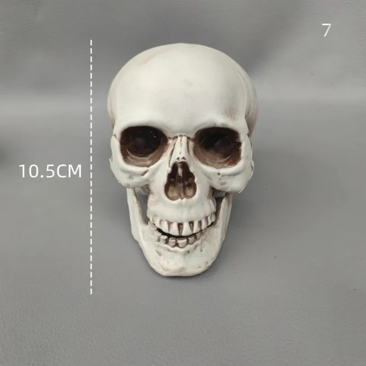 size%20Skull%20prop%20Spooky%20Resin%20material%20Lifelike%20Skeleton%20head%20decoration%20Detachable%20jaw%20Realistic%20looking%20skulls%20for%20Halloween%20-%20Image%208