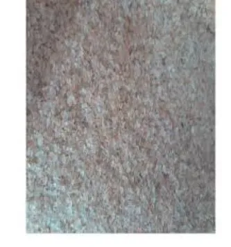 Tragacanth%20gum-(katila%20gum)-150gm%20-%20Image%206