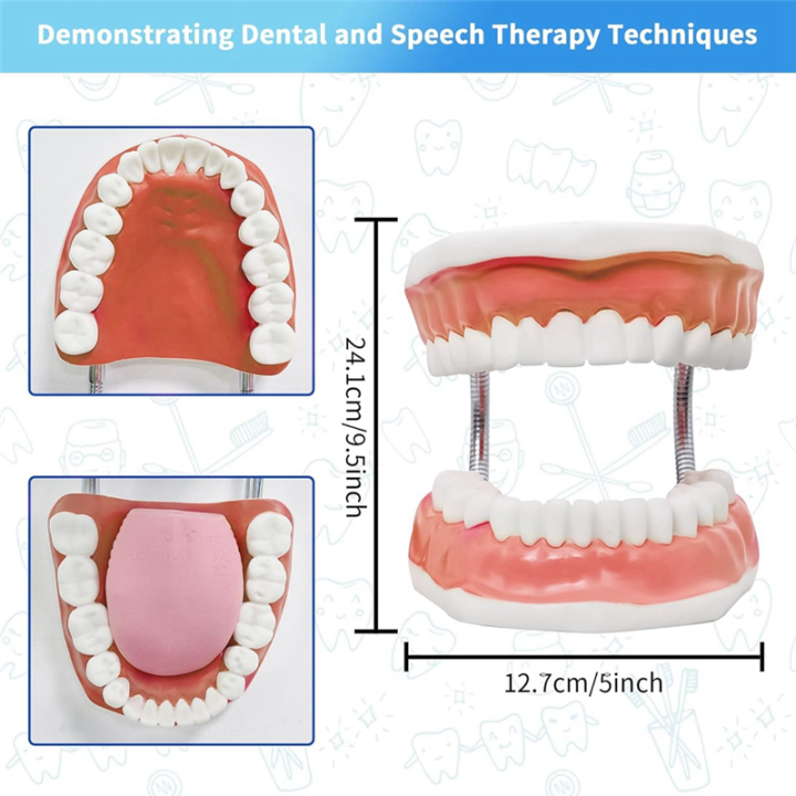 Teeth%20Mouth%20Model%206X%20Enlarged%20with%20Metal%20Hinge,%20Complete%20Set%20Teeth%20and%20Removable%20Tongue,%20PVC%20Speech%20Therapy%20Tool,%20Durable%20Fine%20Workmanship%20-%20Image%202