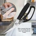 Stainless Steel Fish and Grill Cutter Scissor - Multicolor. 