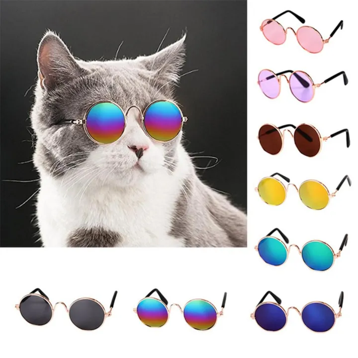 Cat%20Sunglass%20Toy%20-%20Multi%20Colour%20Full%20-%20Image%202